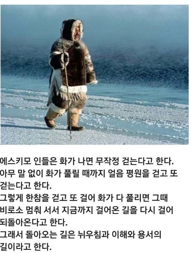 화가 나면 에스키모인처럼 무작정 걸어라_1.png