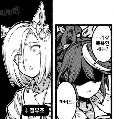 가장 똑똑한 새는?_1.jpg