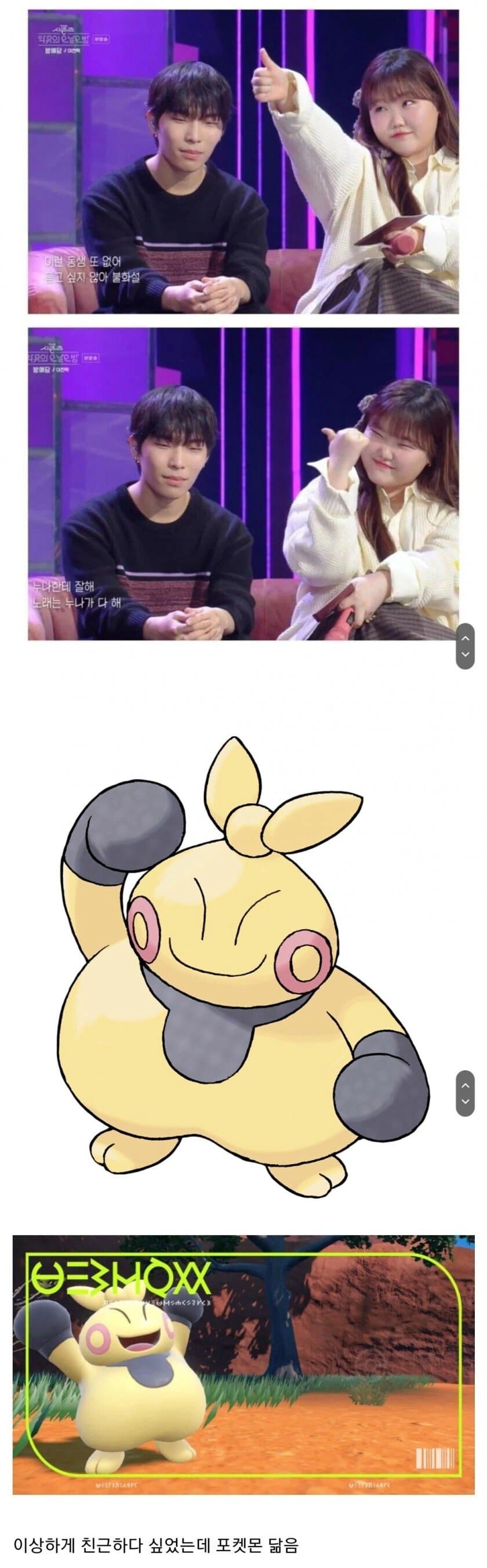 악뮤 닮은 포켓몬.jpg_1.png