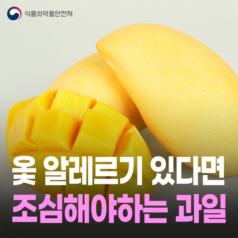 옻 알레르기 있다면 조심해야하는 과일_1.png
