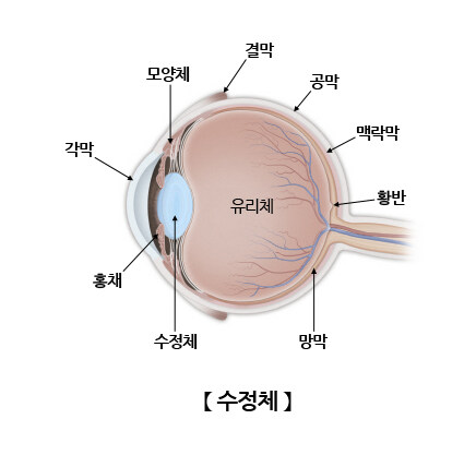 인공신체가 시급한 부위_1.jpg