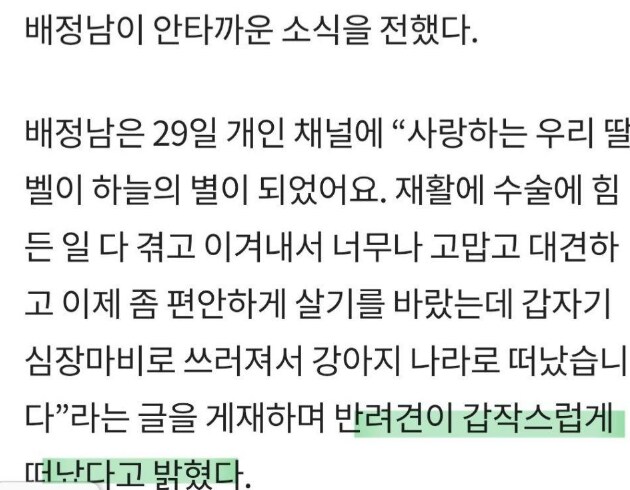 원조렉카새끼의 클라스_2.png