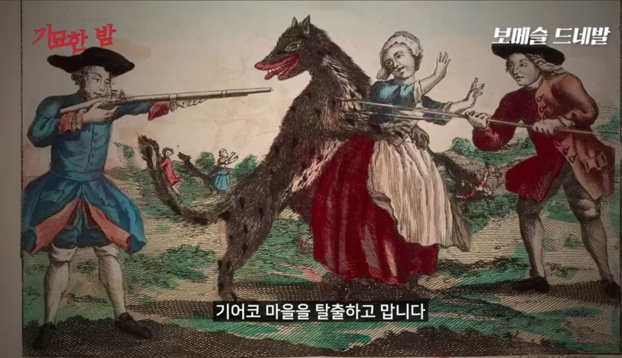 중세시대 서양인들이 호랑이 보다 더 무서워 했던 동물_1.jpg