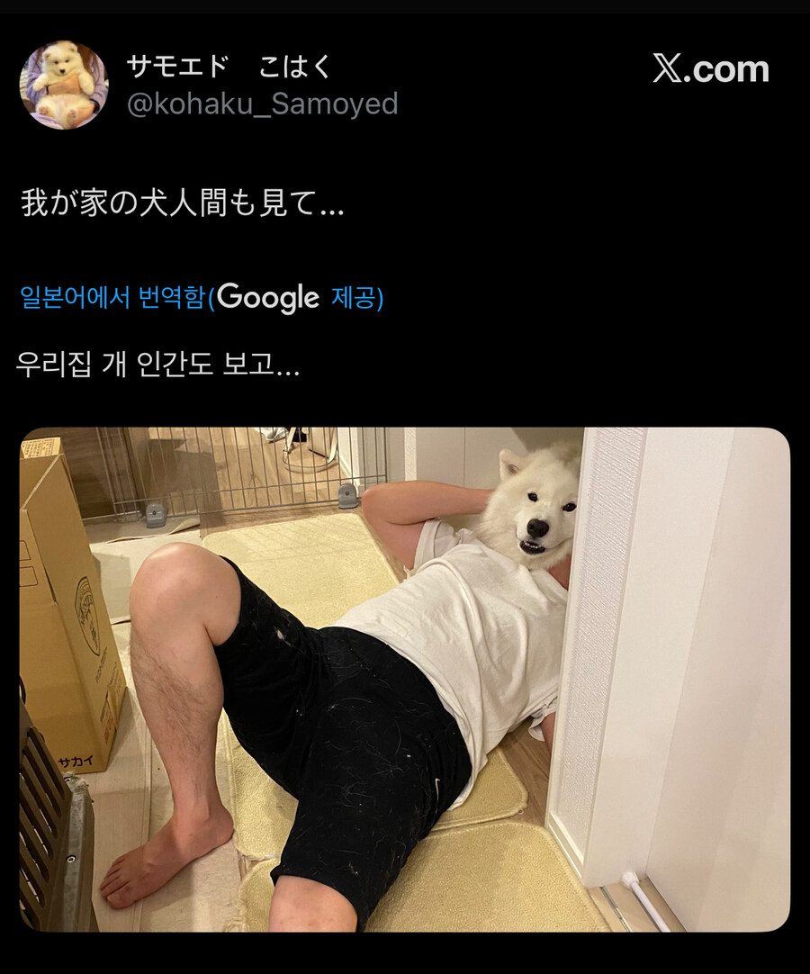 다음은 일본 소식 전해드리겠습니다_1.jpg