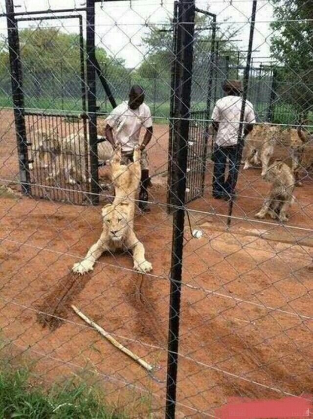 공포영화 클리토리스_1.jpg