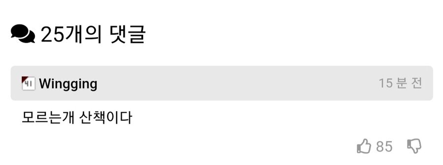 강아지 산책 시키는데 목줄 안한다고 한소리 들음_2.jpg