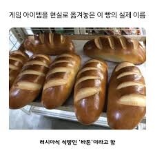러시아에서 나폴레옹의 위상.jpg_3.jpg
