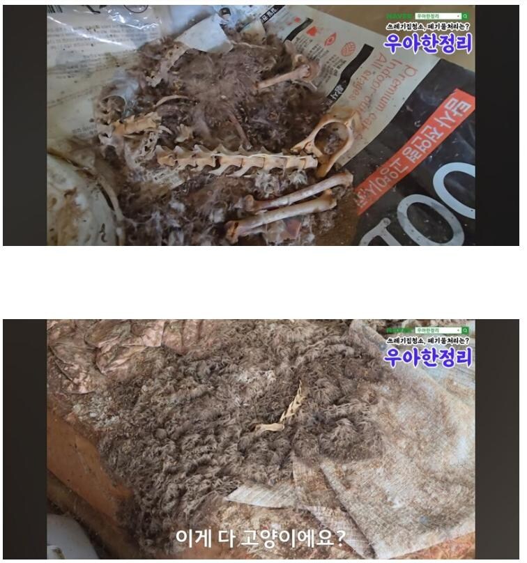 약혐) 2천만원 받고 청소해준다 vs 안한다_2.jpg