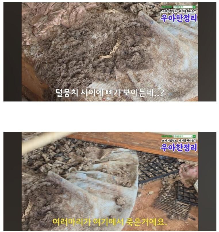 약혐) 2천만원 받고 청소해준다 vs 안한다_3.jpg