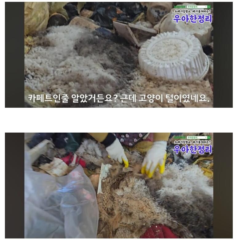 약혐) 2천만원 받고 청소해준다 vs 안한다_4.jpg