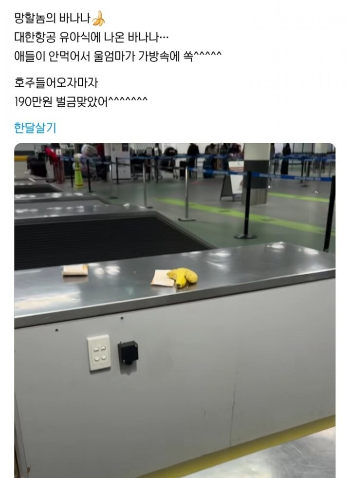 기내식은 기내에서 다 먹어야 하는 이유_1.png