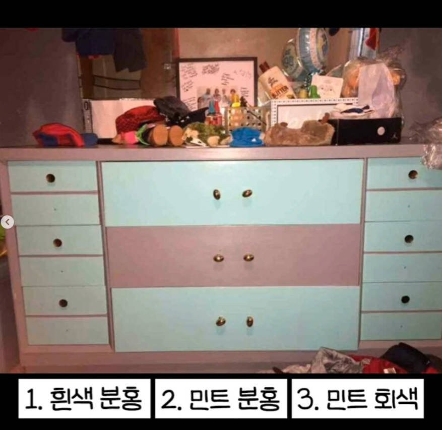사람마다 다른 색으로 보인다는 사진.jpg_1.jpg