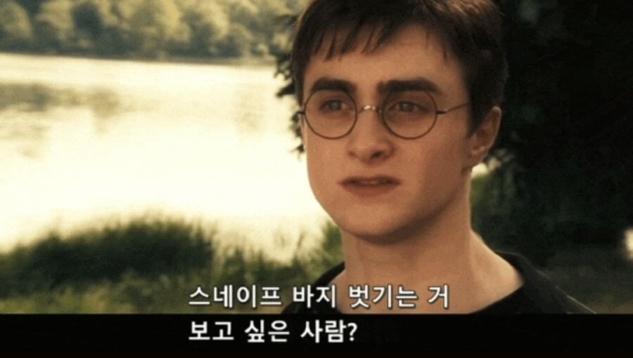 해리포터)해리를 아동학대 현장에 내버려둔 이유_2.jpg