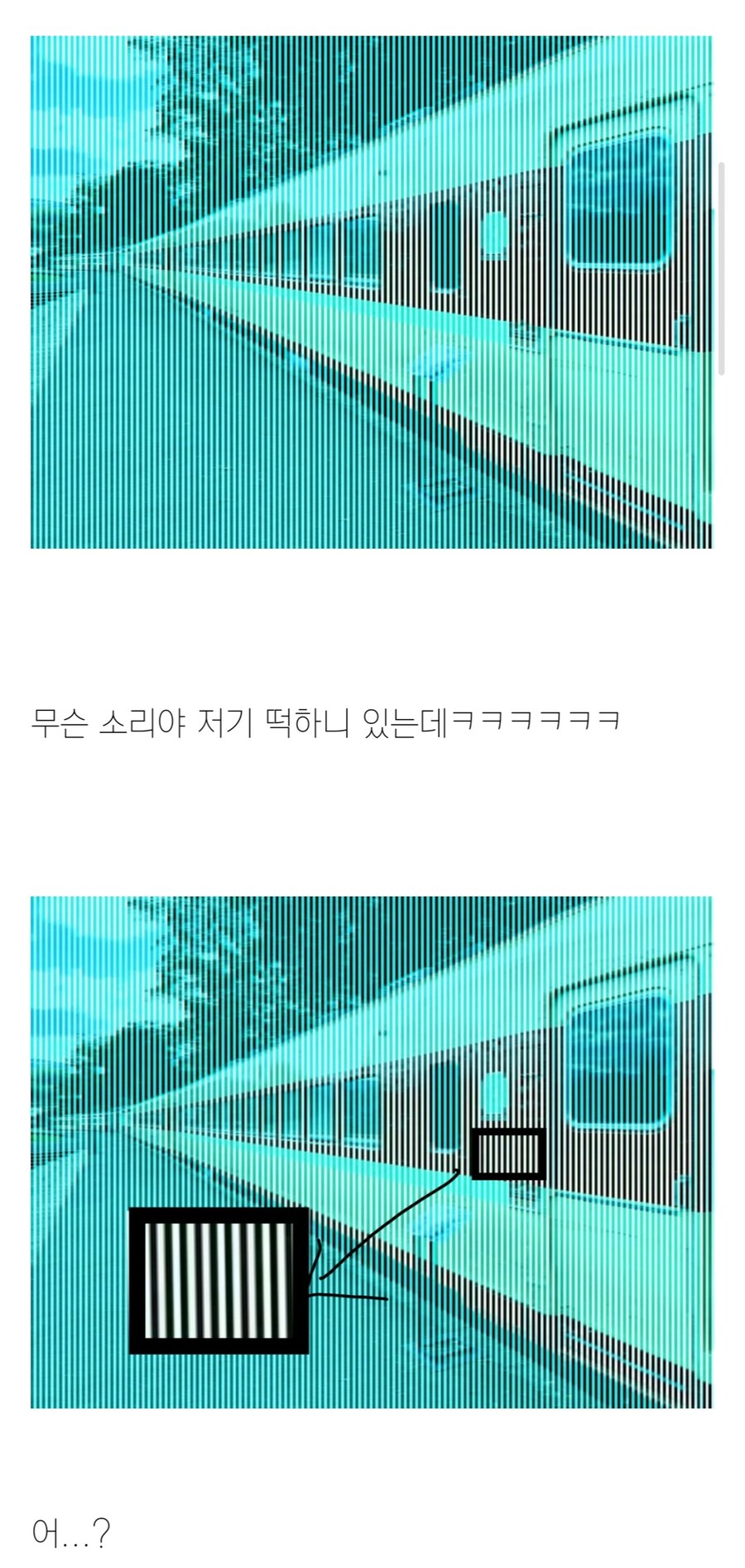 사실 이 사진에는 빨간색이 존재하지 않습니다.jpg_1.jpg
