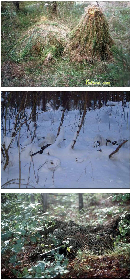 빨리 못찾으면 죽음_1.jpg