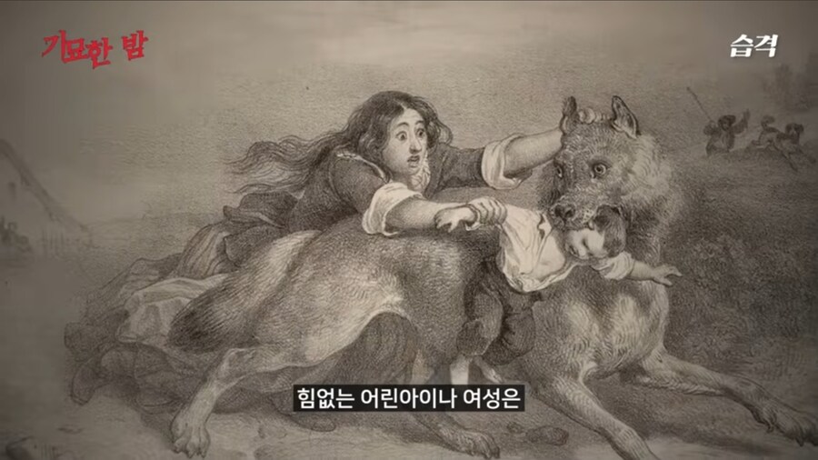 중세시대 서양인들이 호랑이 보다 더 무서워 했던 동물_3.jpg