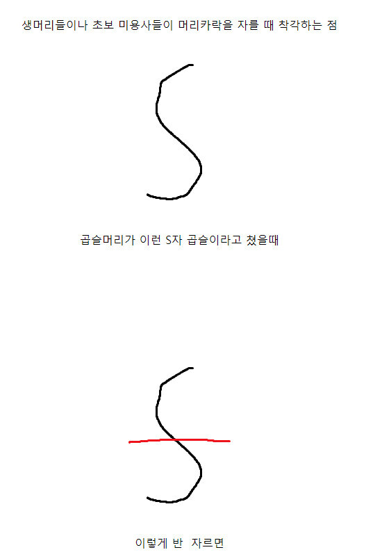 곱슬머리 특징 꼬임 보존법칙_1.jpg