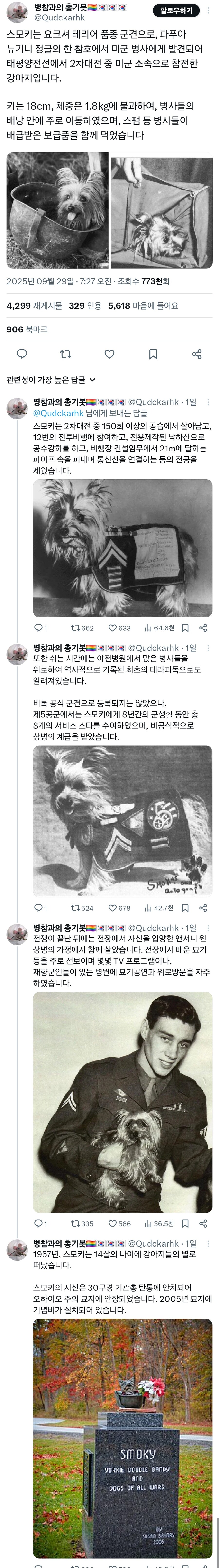 2차 세계 대전 군견 스모키의 대모험_1.jpg