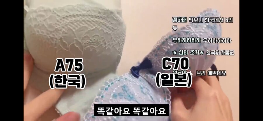 일본여자가 한국에서 D컵에서 A컵으로 변한 이야기_1.jpg