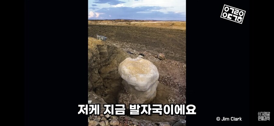 공룡)