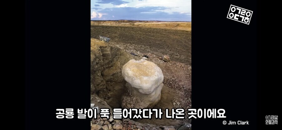 공룡)
