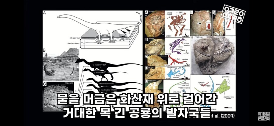 공룡)
