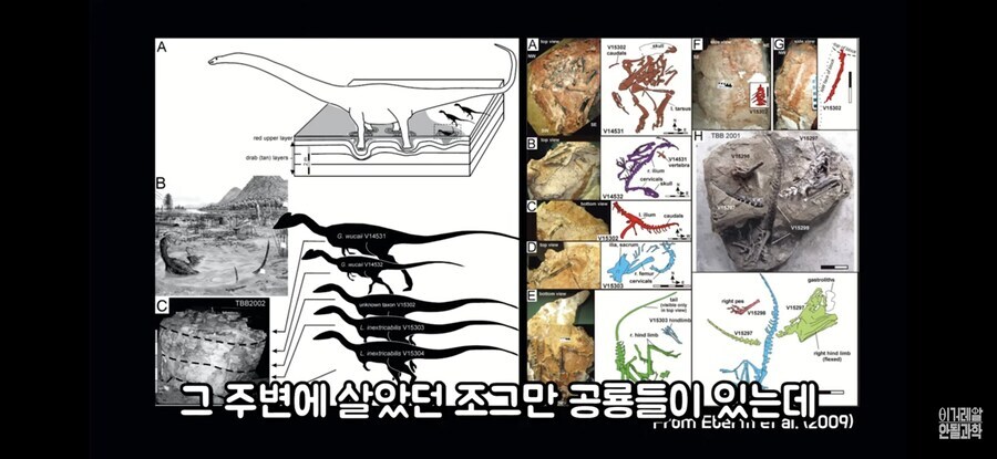 공룡)