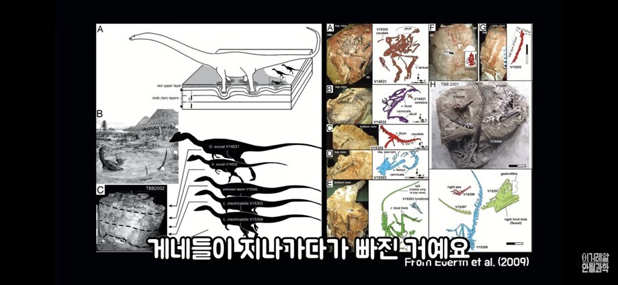 공룡)