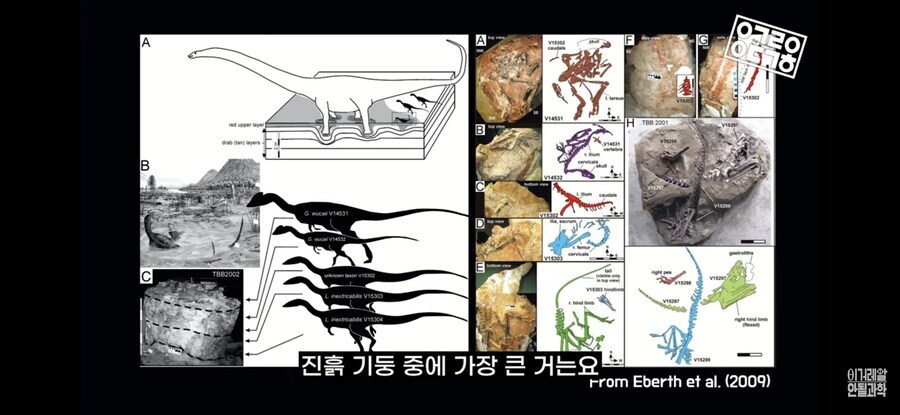 공룡)
