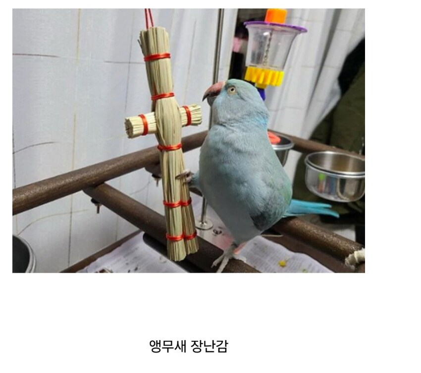 택배온거 옆집 손녀가 뜯었다고 함_2.png
