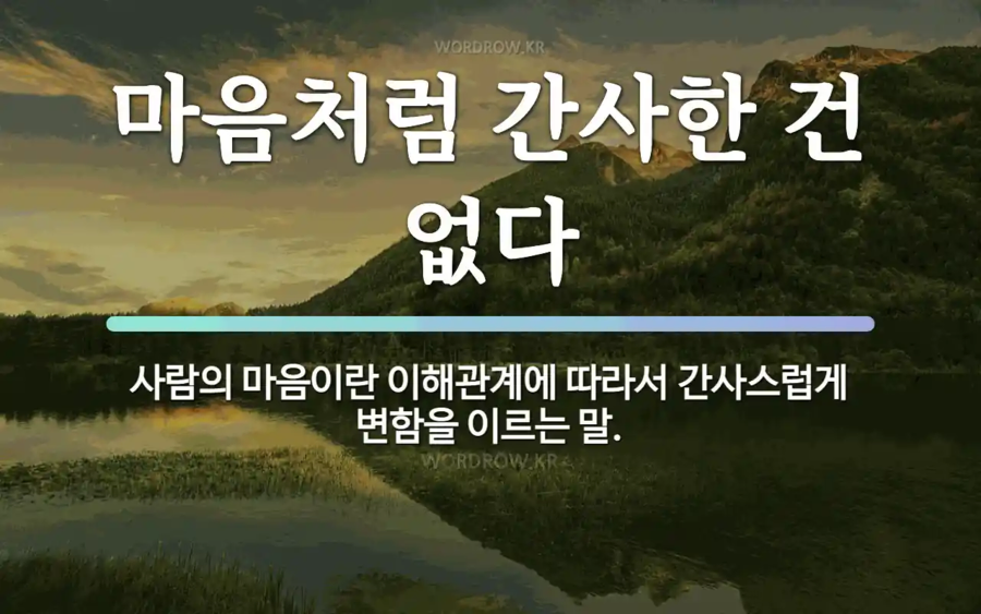 코덱스 3% 넘게 불기둥인 지금 내심정_1.webp