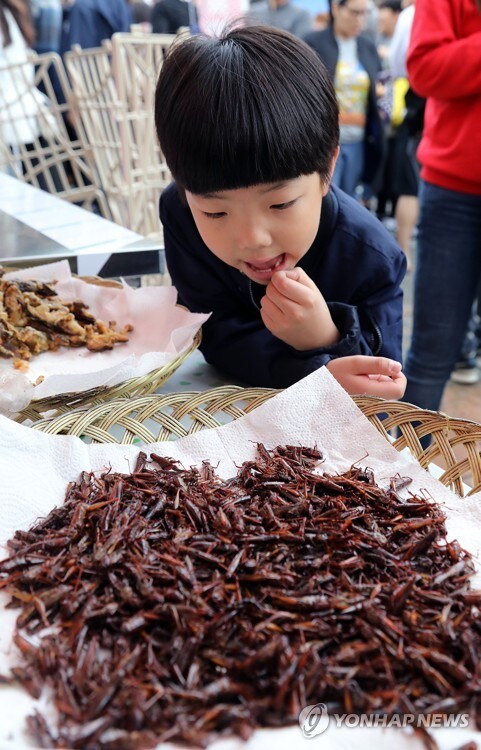 먹어보면 의외로 먹을만한 음식.JPG_1.jpg