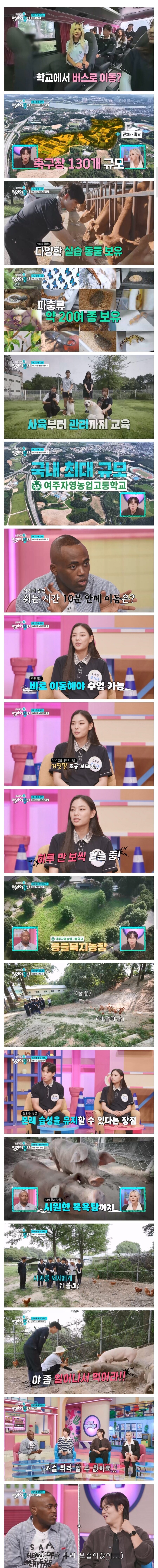 한국에서 은수저를 경험할 수 있는 학교_1.jpg