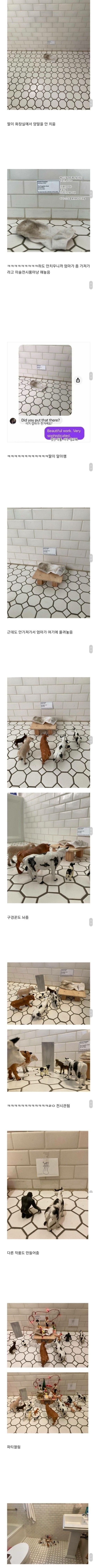 딸의 양말을 전시한 엄마_1.jpg