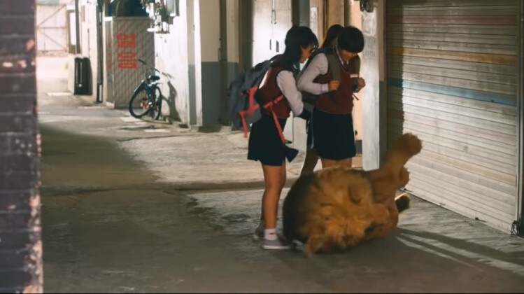 맨몸의 인간에게 구타당하는 사자.JPG_1.jpg