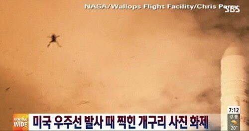 콩쥐야아앙ㅏ어아어아아ㅡ ㅈ됐어아어어아ㅓ어ㅡ!!.jpg_2.jpg