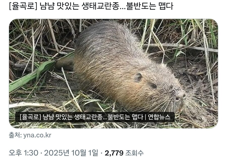 외래종에게 지옥의 땅 한반도_1.jpg
