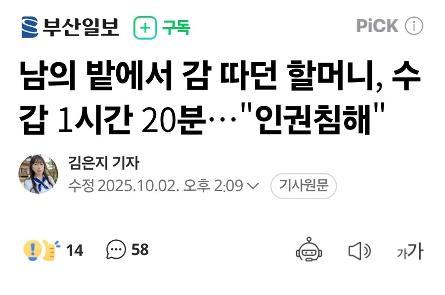 남의 밭에서 감 따던 할머니, 수갑 1시간 20분…