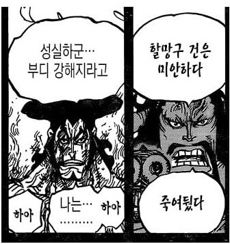 원피스 카이도가 할망구건을 죽인 이유_1.png