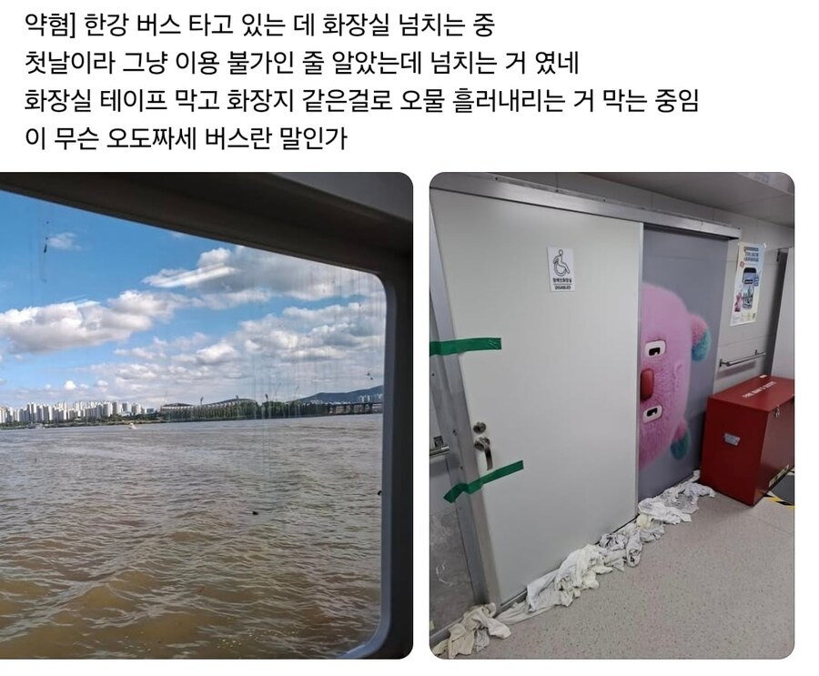 약혐) K-똥범벅 크루즈 실존_1.jpg