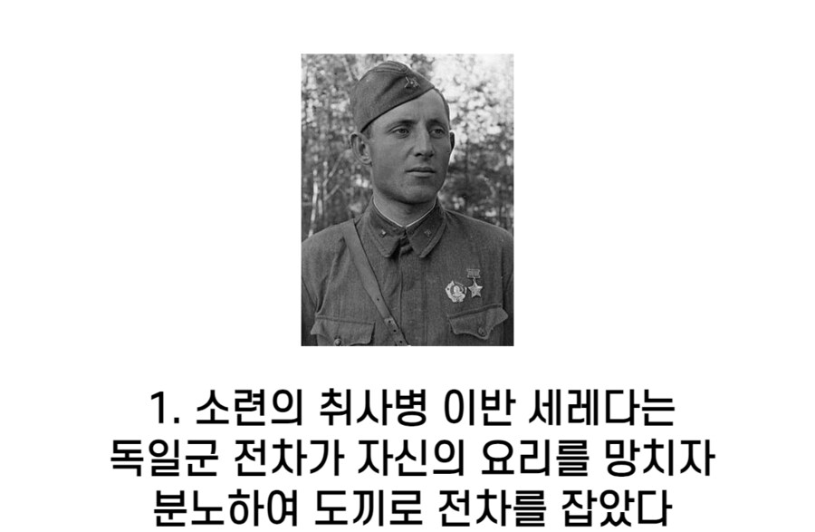 사람들이 잘 모르는 2차 세계대전 일화.jpg_1.png