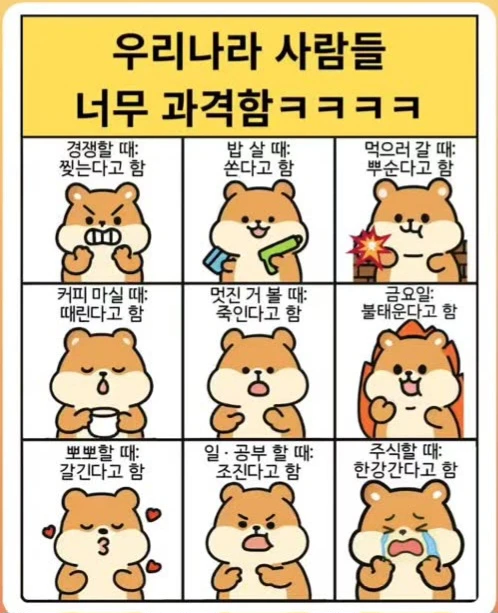 우리나라 사람들 너무 과격함_1.webp