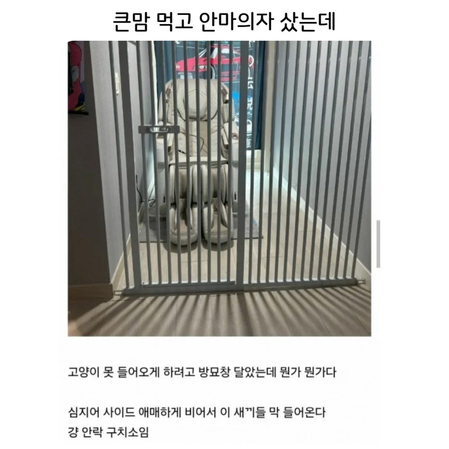 집에 안락 구치소를 지은 사람_1.webp