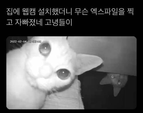집에 웹캠 설치해봄.jpg_1.jpg