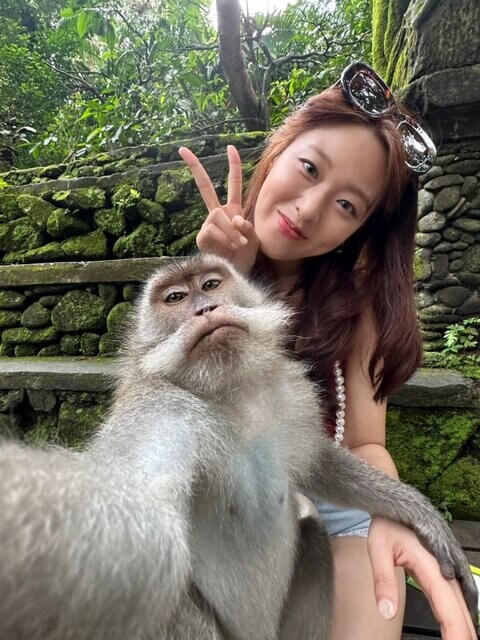 AOA 배우 설현 관광중 나타난 셀카 달인 원숭이_2.jpg