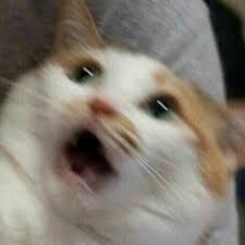 ??? : 자기야 나 여신같지 않아?.jpg_15.jpg