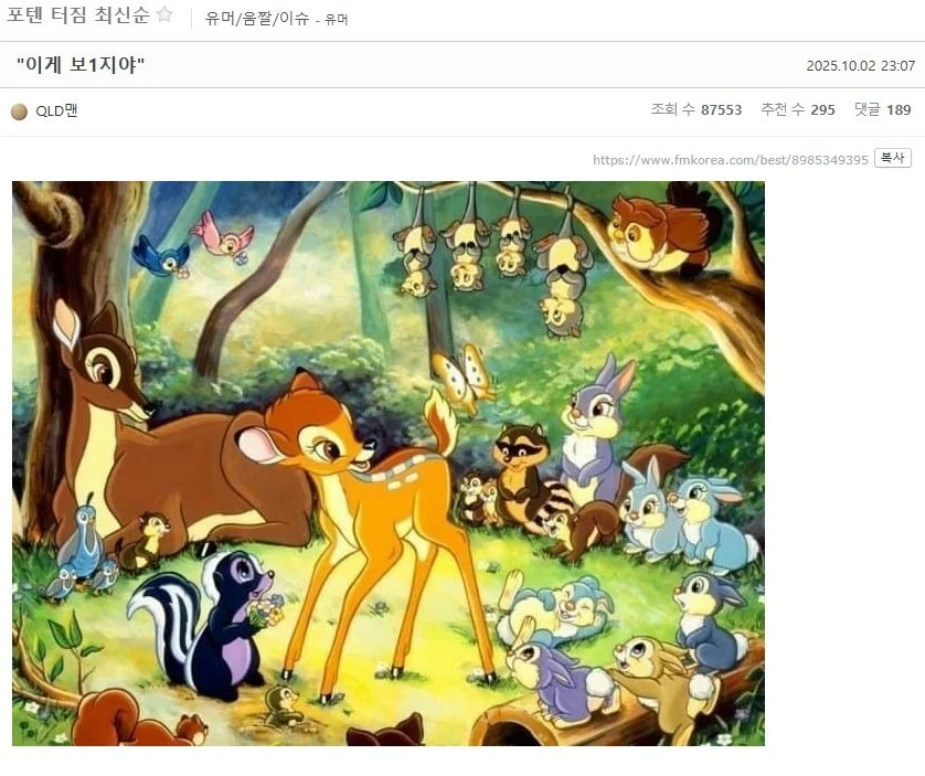 의외로 모르는 사람이 많은 밤비의 진실.jpg_1.webp