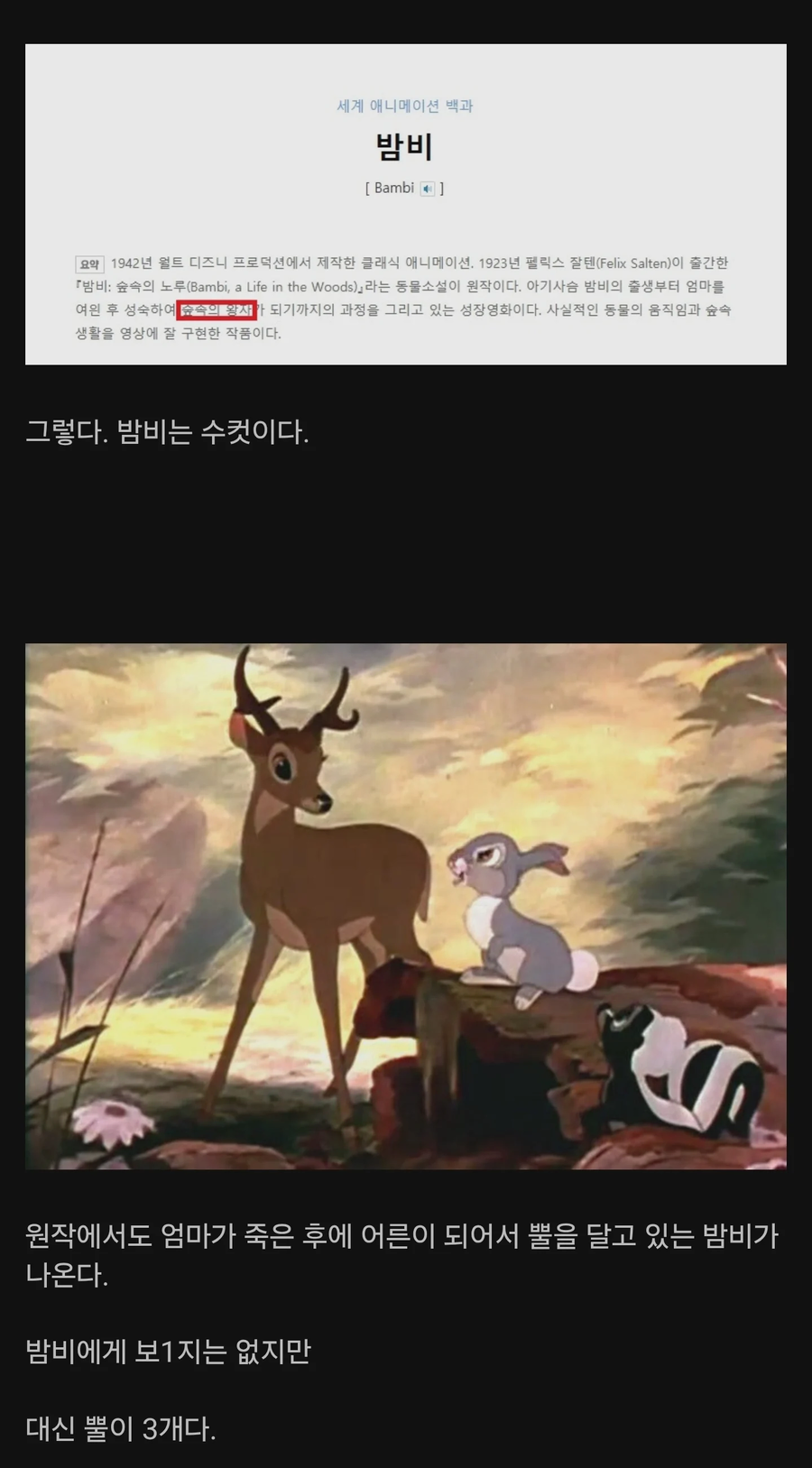의외로 모르는 사람이 많은 밤비의 진실.jpg_2.webp