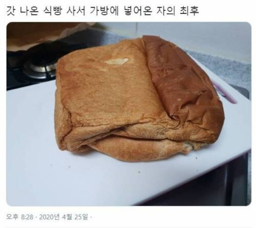 갓 나온 식빵_1.jpg