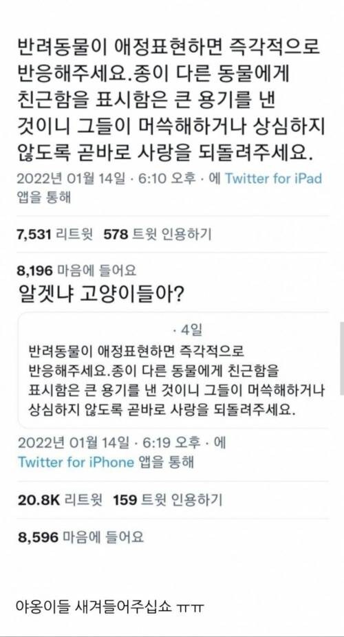 반려동물이 애정표현하면 즉각적으로 반응해주세요_1.jpg